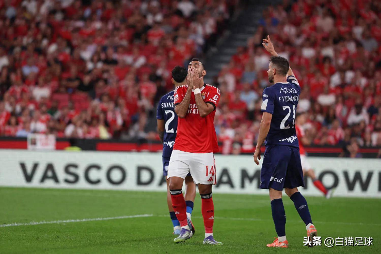 爱游戏电竞-转会期体能课后，本菲卡绝杀压哨备战英超，更衣室稳定，身体对抗强度拉满的简单介绍-爱游戏电竞